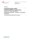 Energieperspektiven 2050+