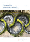 Programm Kleinwasserkraftwerke - Newsletter Nr. 48