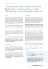 Information, Beratung und Einführung neuer Technologien im Zusammenhang mit der Dekarbonisierung von Wärme in der Industrie - Handbuch