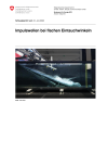 Impulswellen bei flachen Eintauchwinkeln