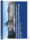 Using narratives to infer preferences in understanding the energy efficiency gap