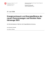 Energieverbrauch und Energieeffizienz der neuen Personenwagen und leichten Nutzfahrzeuge 2023