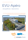 EVU-Apéro «Energieeffizienz - Hebel der EVU»