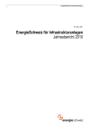 EnergieSchweiz für Infrastrukturanlagen. Jahresbericht 2010