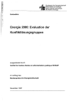 Energie 2000: Evaluation der Konfliktlösungsgruppen