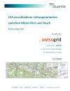 LCA verschiedener Leitungsvarianten zwischen Mörel-Filet und Fiesch