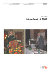 Eidgenössische Energieforschungskommission. Jahresbericht 2003