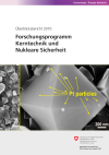 Forschungsprogramm Kerntechnik und Nukleare Sicherheit - Überblicksbericht 2010