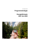 Programmstrategie EnergieSchweiz 2021 bis 2030