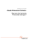 «Studie Winterstrom Schweiz»